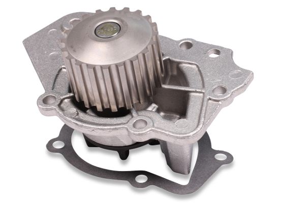 HEPU P816 Water Pump, engine cooling