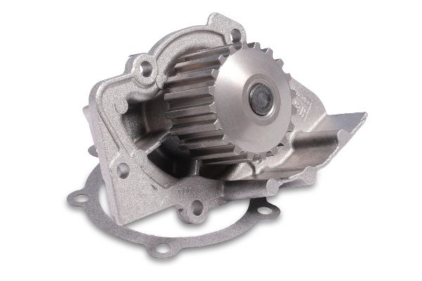 HEPU P841 Water Pump, engine cooling