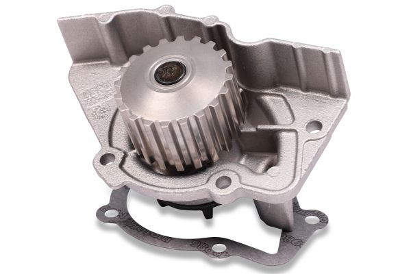 HEPU P889 Water Pump, engine cooling