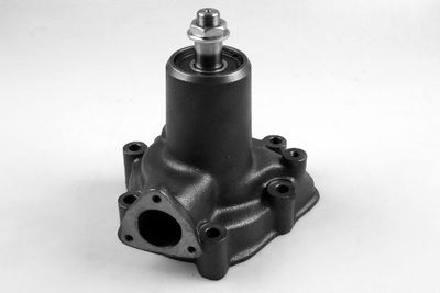 Water Pump, engine cooling HEPU P9909