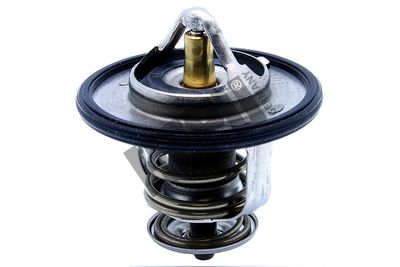 Thermostat, coolant HEPU TM1315