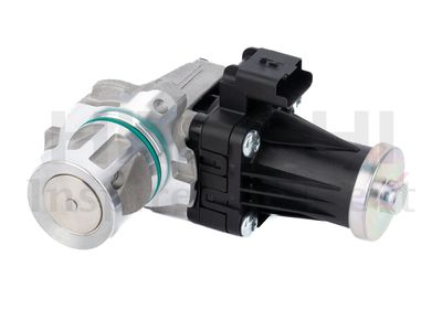 EGR Valve HITACHI 2505964