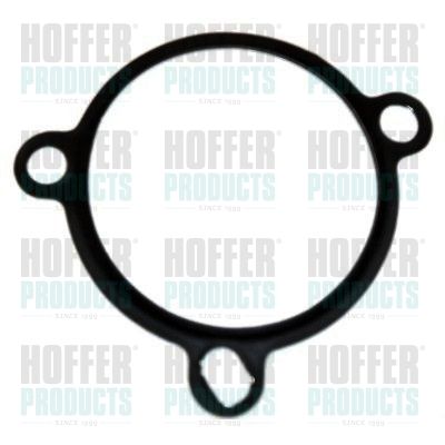 Gasket, EGR valve HOFFER 01604