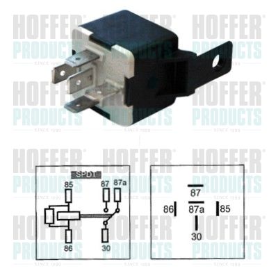 HOFFER 7233331 Multifunctional Relay
