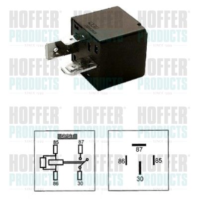 Relay HOFFER 7250002