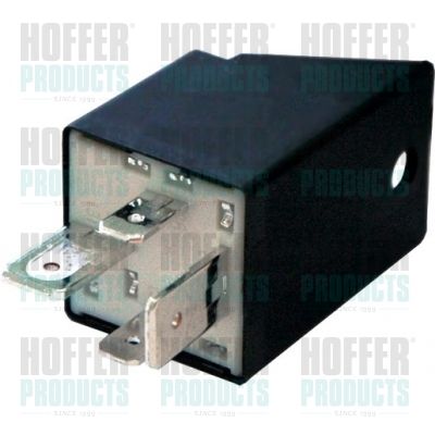 Relay HOFFER 7250004