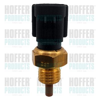 Sensor, intake air temperature HOFFER 7472482