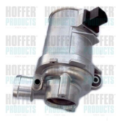 Auxiliary Water Pump (cooling water circuit) HOFFER 7500035