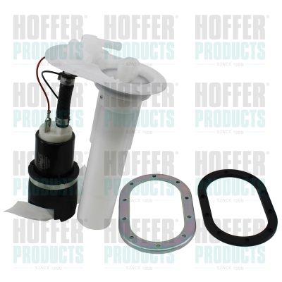 Fuel Feed Unit HOFFER 7506448