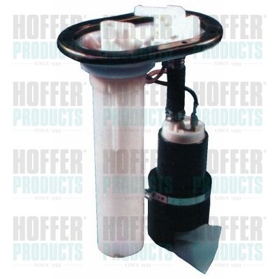 Fuel Feed Unit HOFFER 7506454