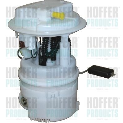 Fuel Feed Unit HOFFER 7506526