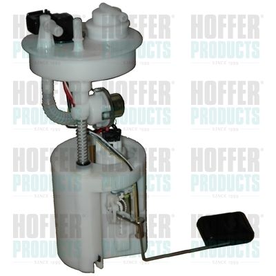 Fuel Feed Unit HOFFER 7506533 II