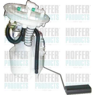 Fuel Feed Unit HOFFER 7506849
