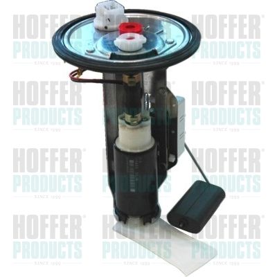Fuel Feed Unit HOFFER 7506899