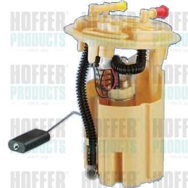 Fuel Feed Unit HOFFER 7506983