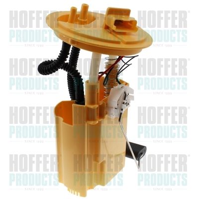 Fuel Feed Unit HOFFER 7507067E