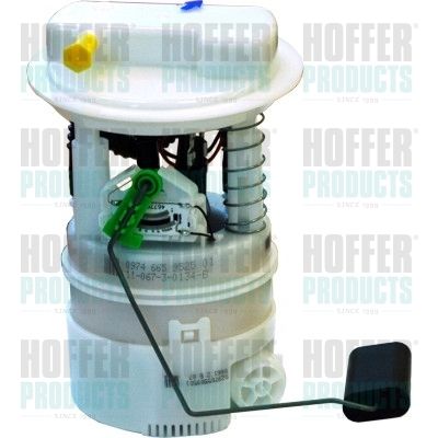 Fuel Feed Unit HOFFER 7507281