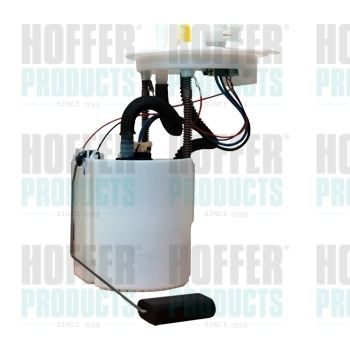 Fuel Feed Unit HOFFER 7507307