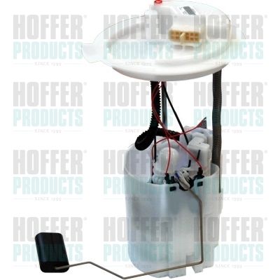 Fuel Feed Unit HOFFER 7507316