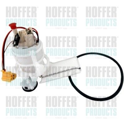Fuel Feed Unit HOFFER 7507456