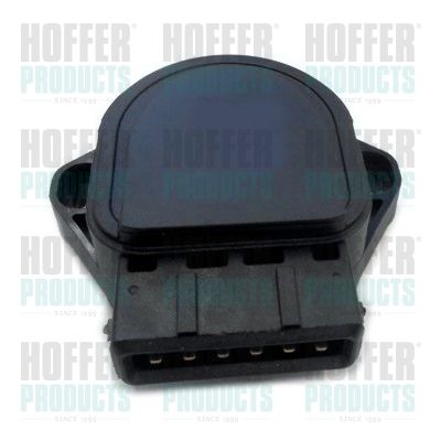 Repair Set, accelerator pedal HOFFER 7513575
