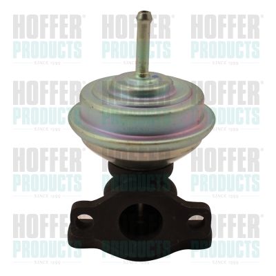EGR Valve HOFFER 7518005