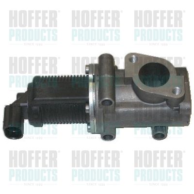 EGR Valve HOFFER 7518007