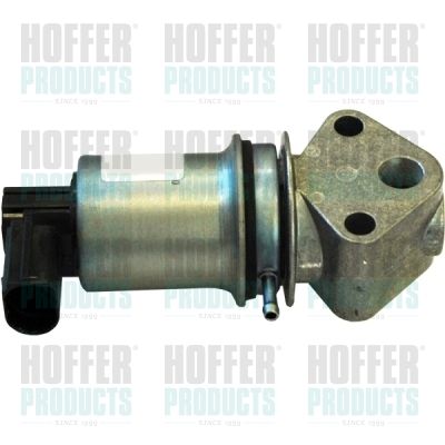 EGR Valve HOFFER 7518009