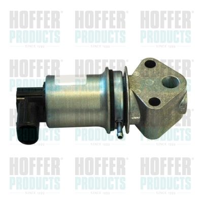 EGR Valve HOFFER 7518009R