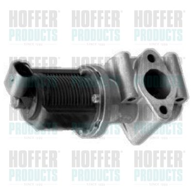 EGR Valve HOFFER 7518015R