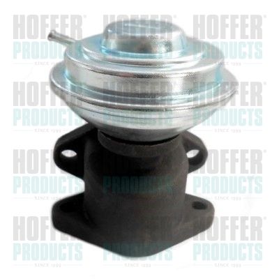 EGR Valve HOFFER 7518025