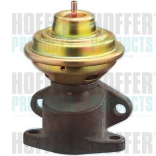 EGR Valve HOFFER 7518029