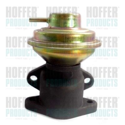 EGR Valve HOFFER 7518032