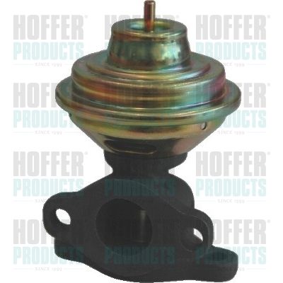 EGR Valve HOFFER 7518038