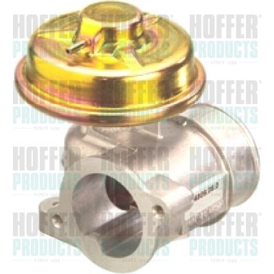 EGR Valve HOFFER 7518042