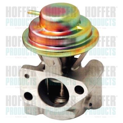 EGR Valve HOFFER 7518044
