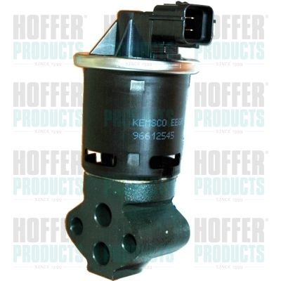 EGR Valve HOFFER 7518048