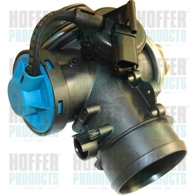 EGR Valve HOFFER 7518060