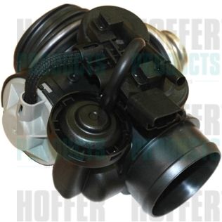 EGR Valve HOFFER 7518061