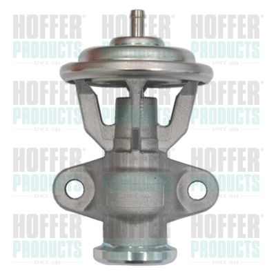 EGR Valve HOFFER 7518066
