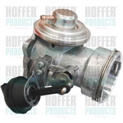 EGR Valve HOFFER 7518068