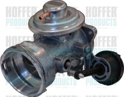EGR Valve HOFFER 7518069