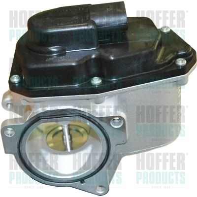 EGR Valve HOFFER 7518087