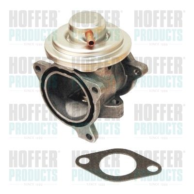 HOFFER 7518095 EGR Valve