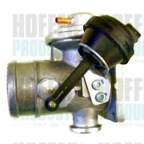 EGR Valve HOFFER 7518098