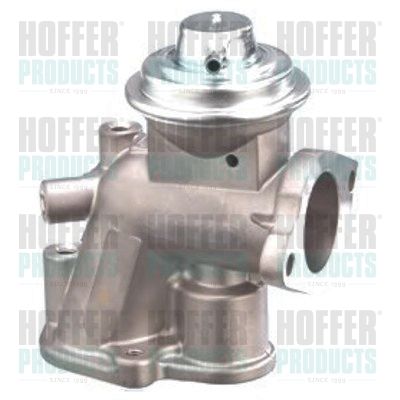 EGR Valve HOFFER 7518106