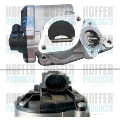 Throttle Body HOFFER 7518112
