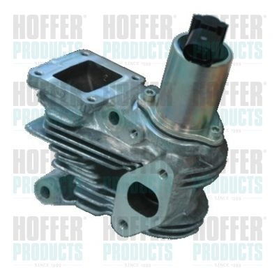 EGR Valve HOFFER 7518115