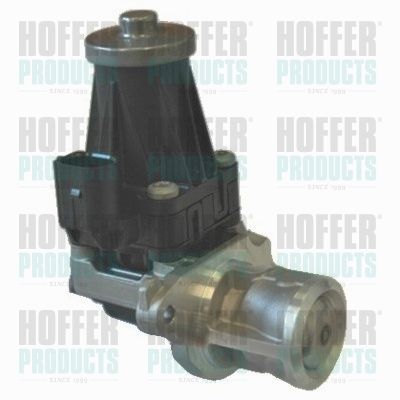 EGR Valve HOFFER 7518124R