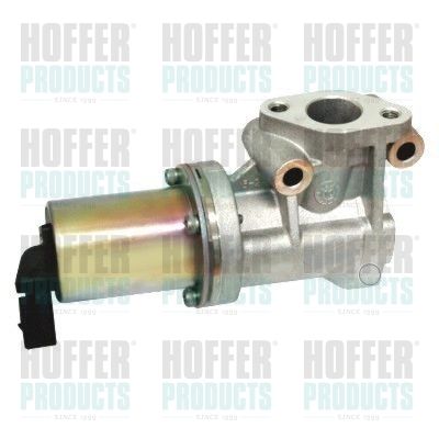 EGR Valve HOFFER 7518125
